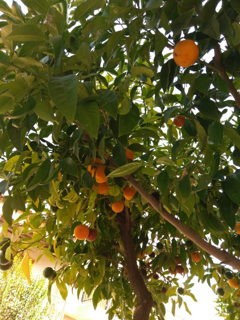 Orangenduft in den Straßen Korinths